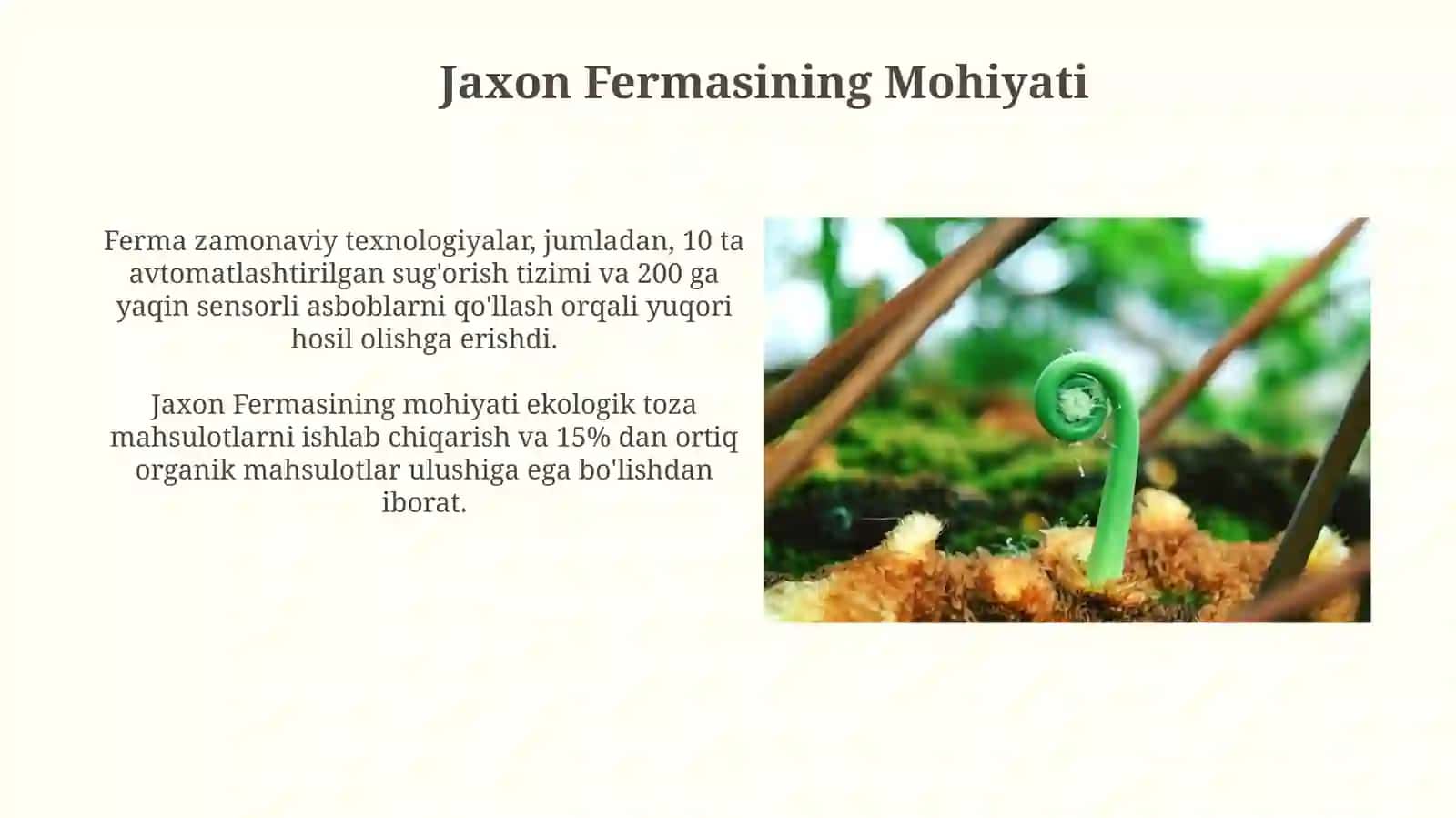 Jaxon xo‘jaligining mohiyati, vujudga kelishi va rivojlanish bosqichlari 4