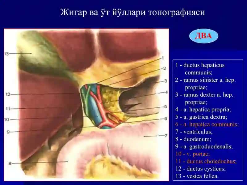 Ўткир холецистит ваунингасоратлари 4
