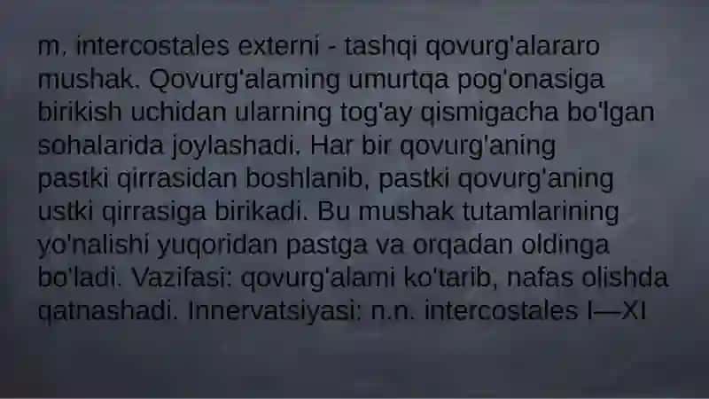 Ko'krak mushaklari 4