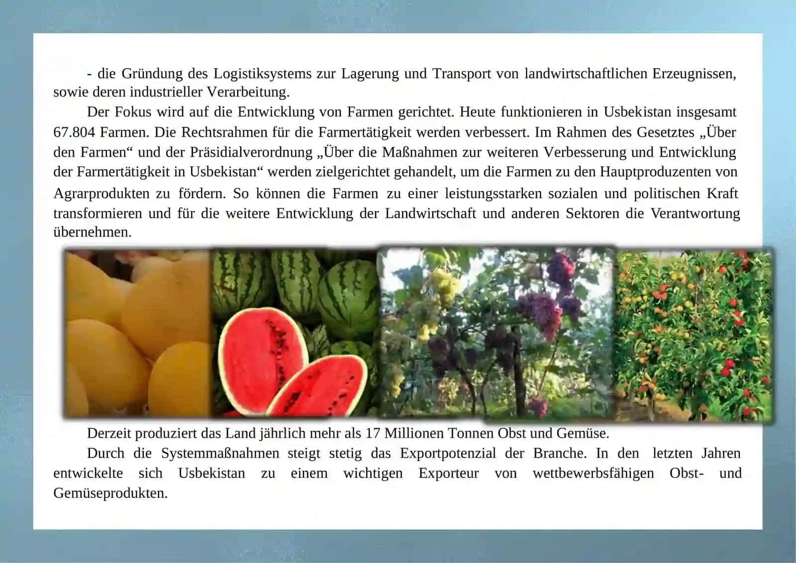 Landwirtschaft in USBEKISTAN 4