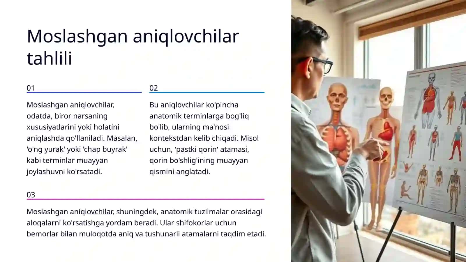 Anatomik terminlar 4