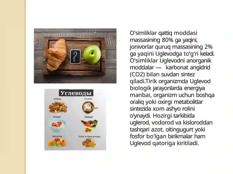 Uglevodlar almashinuvi 4