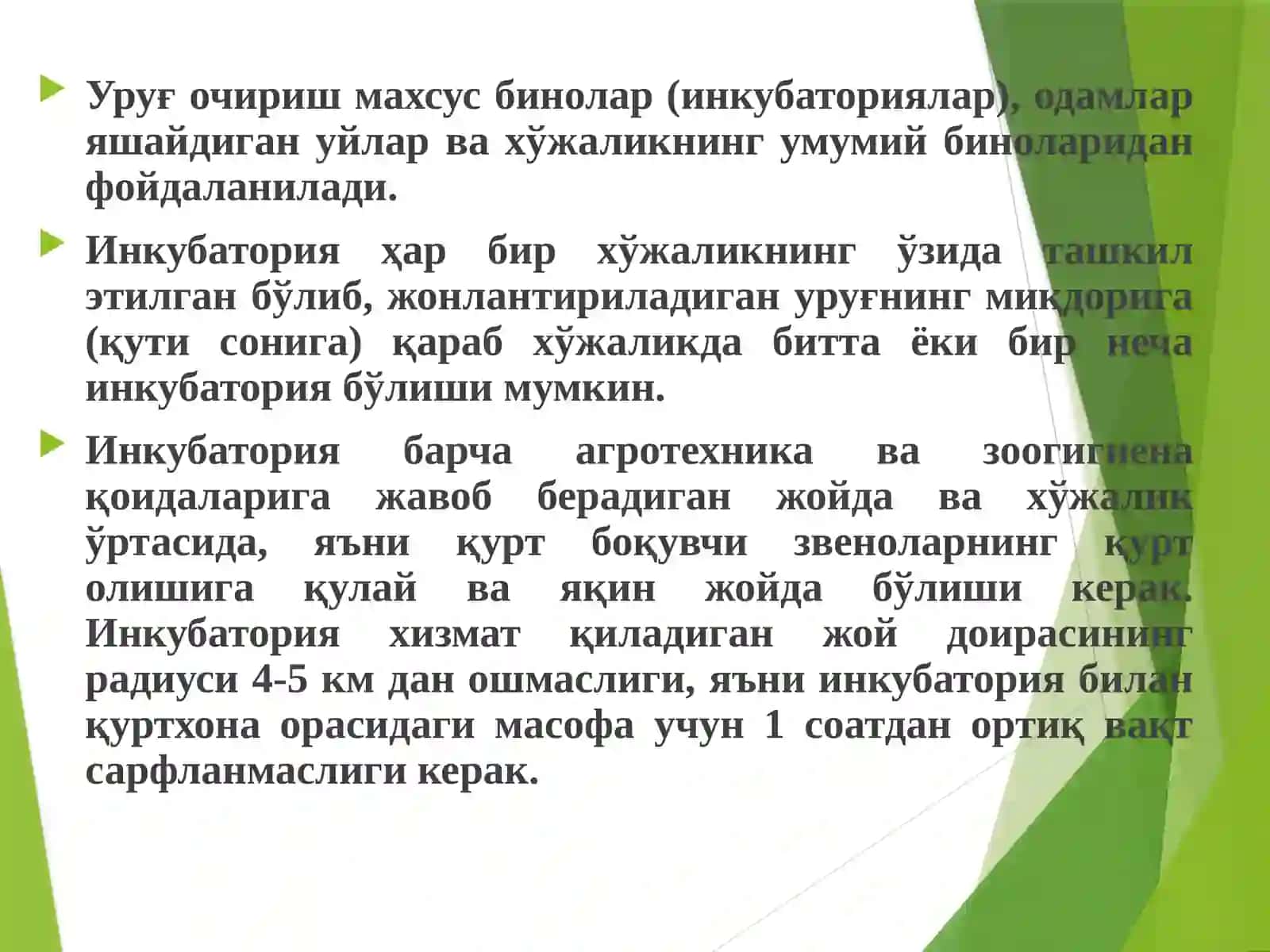 Инкубатория ишлари 4