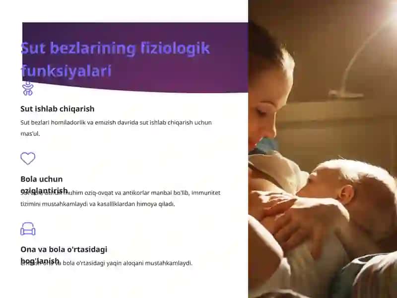 Sut bezlari faoliyatuvining boshqarilishi, sut bezining yoshga qarab o’zgarishi 4