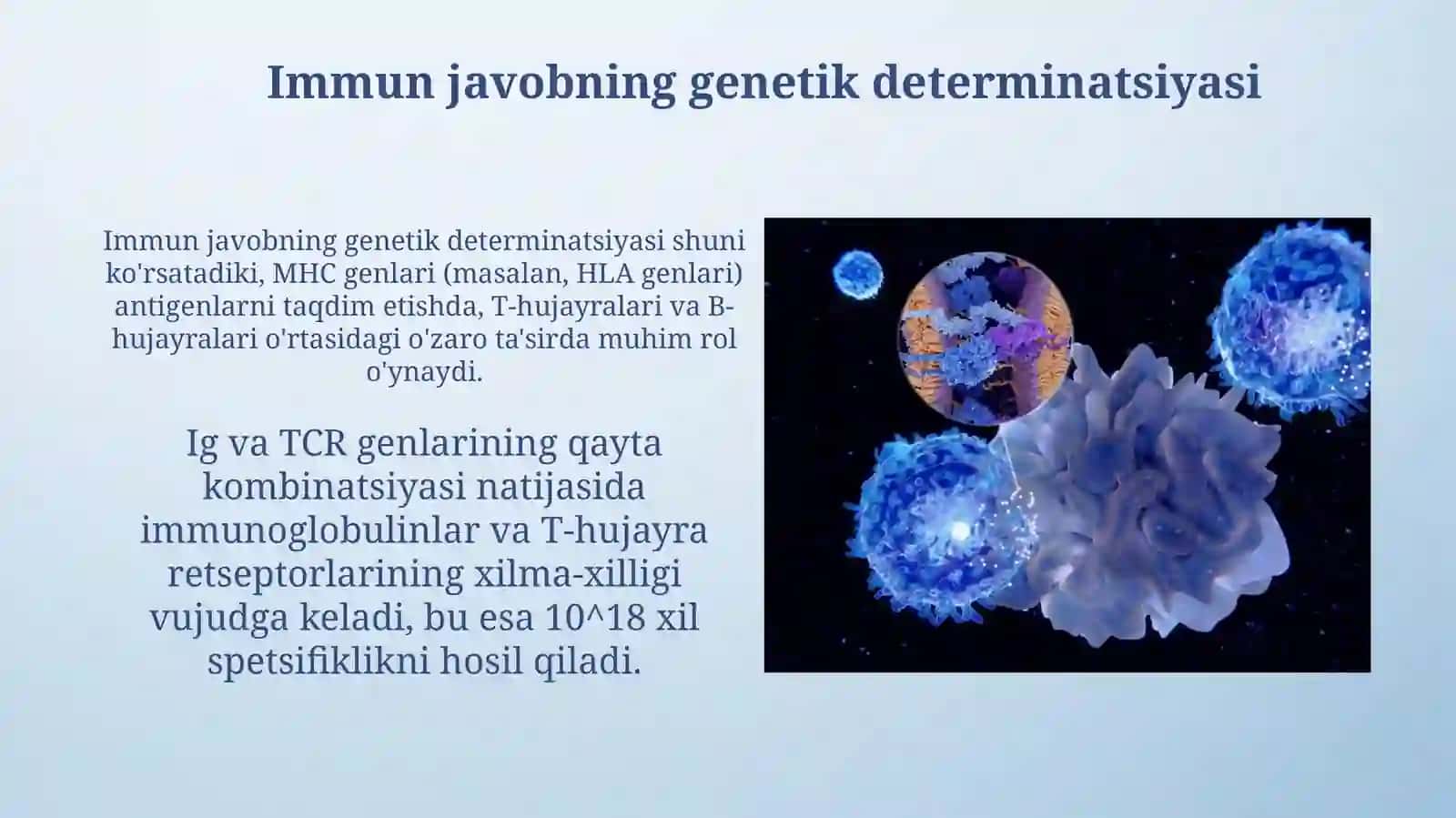 Immunologik reaksiyalarning genetik nazorati Imunologik tolerantlik 4