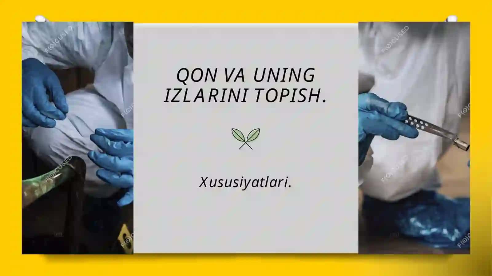 Qon va qon dog’larining sud tibbiy ekspertizasi 4