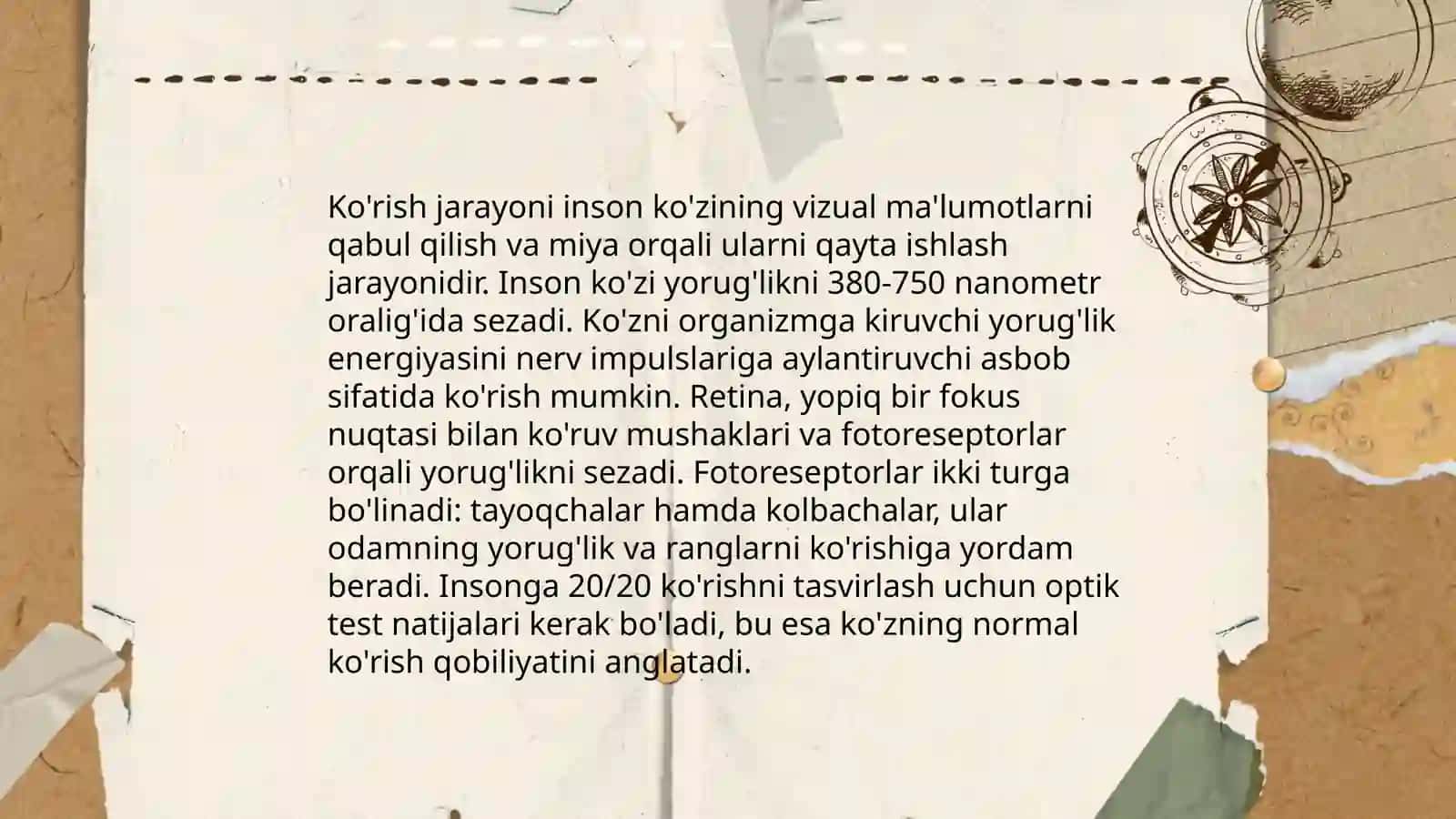 Ko'z anatomiyasi 4