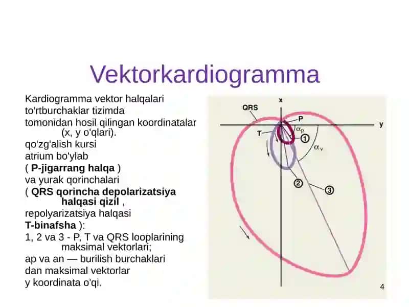 Vektorkardiografiya 4