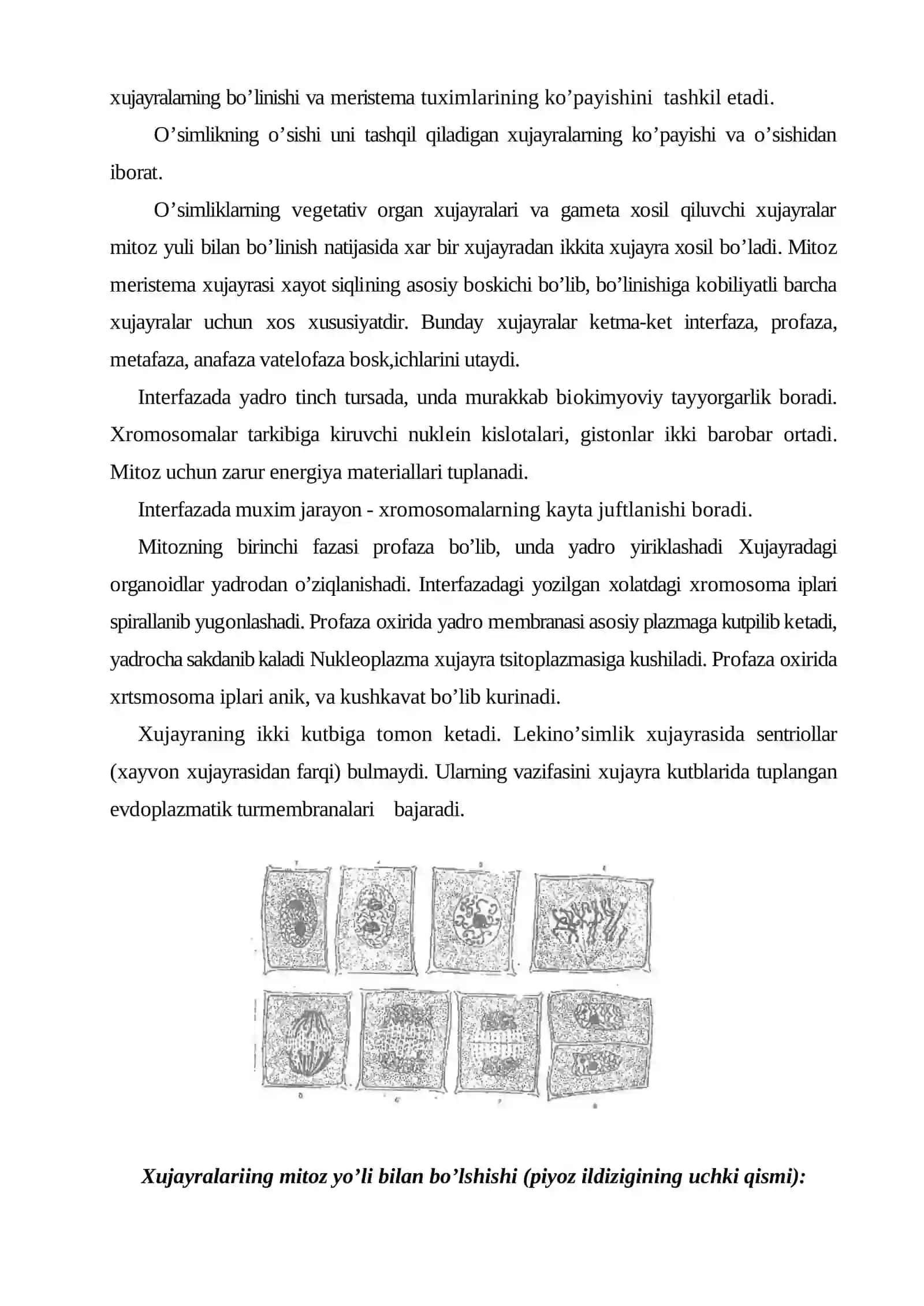 O’simliklarning o’sishi va harakatlanishi 4