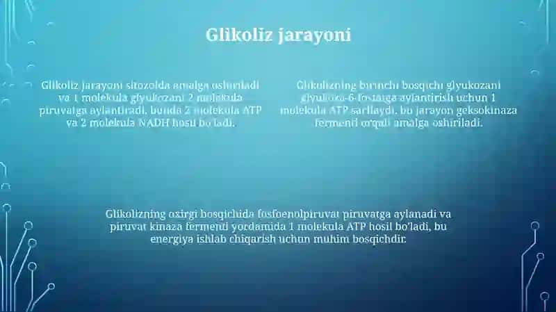 Uglevodlarning hujayrada hazm bo'lishi 4