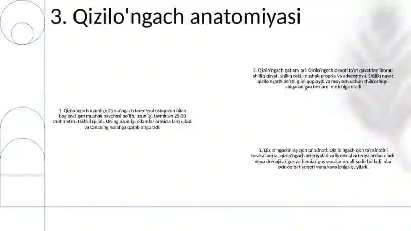 Bolalarda OgʻIz Halqum QiziloʻNgach Anatomo-Fiziologik Xususiyatlari 4