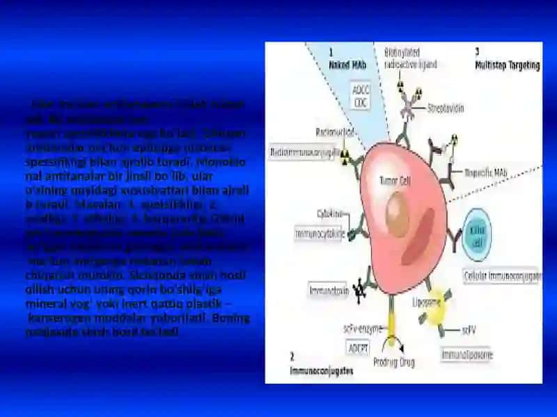 Monoklonal antitelalar. Monoklonal a antitelalarni olish asoslari. Gibridom monoklonal antitelalarni  ishlatilishi. 4