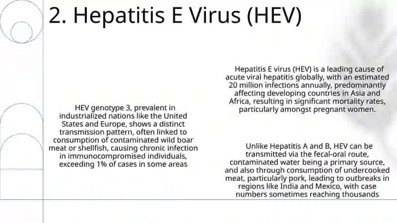 Infectious diseases. Hepatitis 4