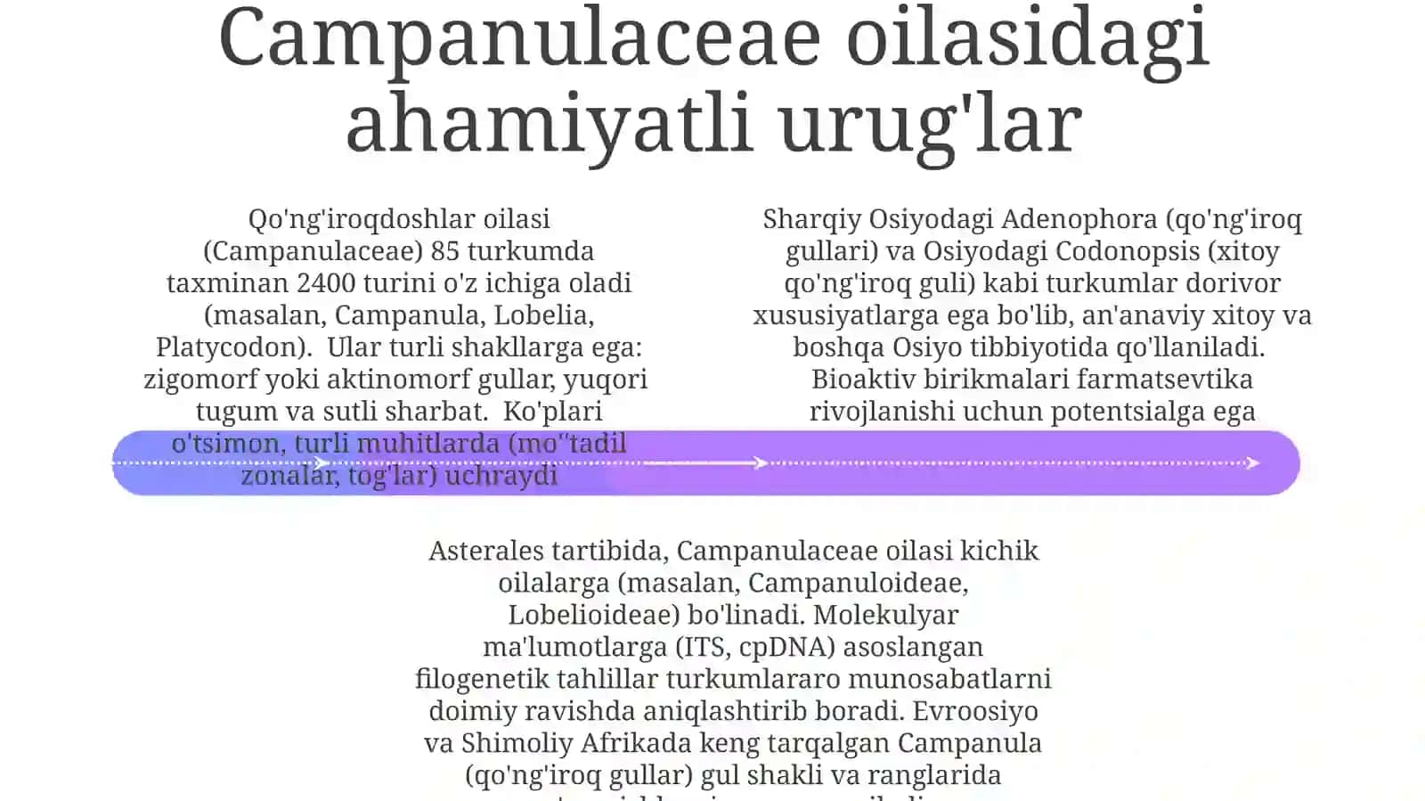 Qo'ng'iroqdoshlar oilasi tasnifi, tavsifi va ahamiyati 4