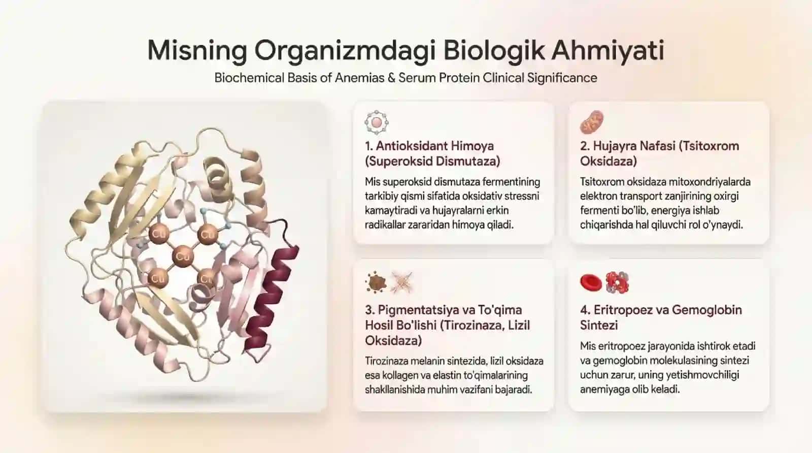 Mis B12 B9 yetishmovchiligida rivojlanadigan anemiyalarning biokimyoviy asoslari Qon zardobida oqsil 4