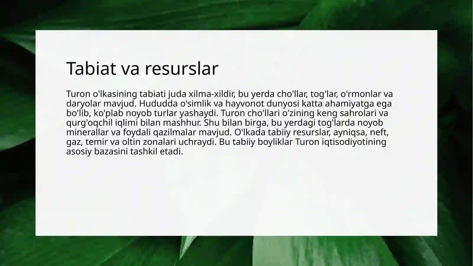 Turon O'lqasi Haqida 4