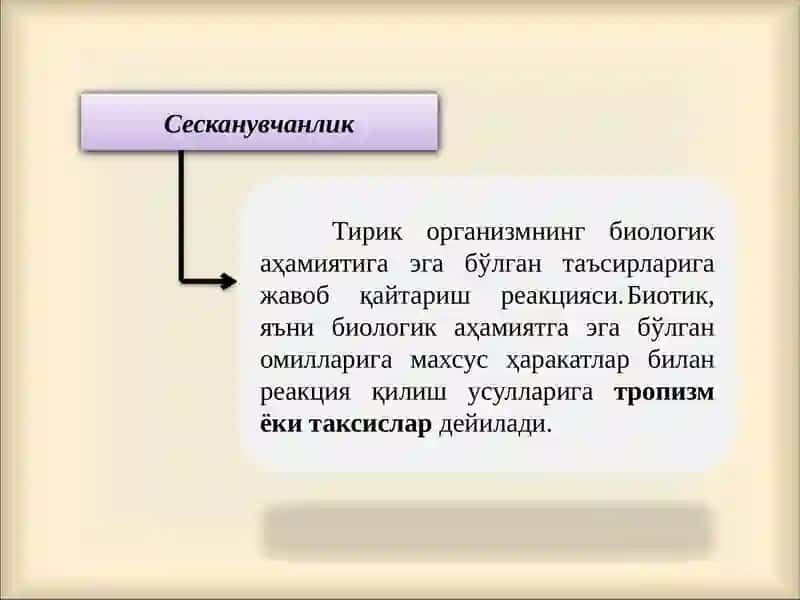 ХУЛК-АТВОРНИНГ РСИХОФИЗИОЛОГИК АСОСЛАРИ 4