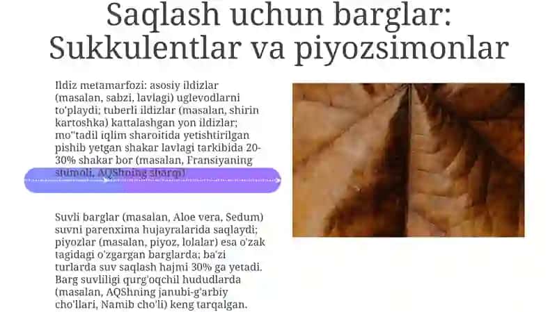 Ildiz Metamorfozi 4