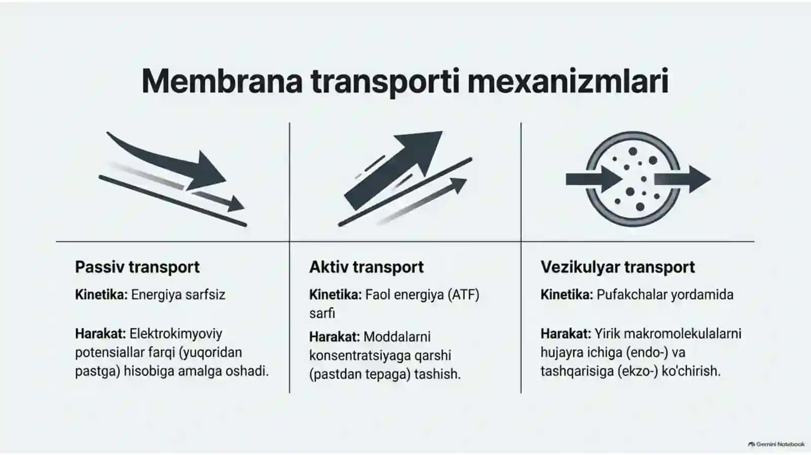 Membranalar orqali signal uzatilishi va mikroelementozlar — 15 slayd 4