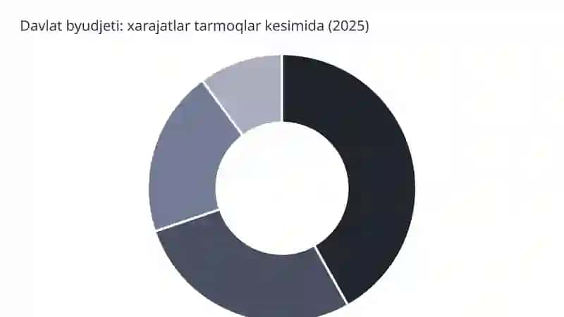 Davlat Xarajatlarining Iqtisodiyot Tarmoqlari Bo'yicha Taqsimoti 4