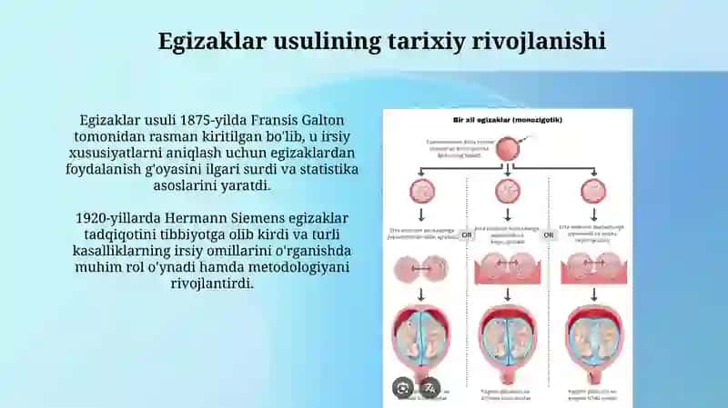 Egizaklar usuli 4