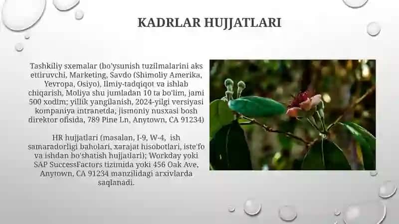 Tashkiliyhujjatlarhaqidatushunchavaulargaoidhujjatlar 4