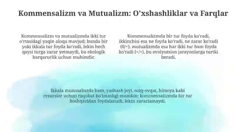 Simbioz 4