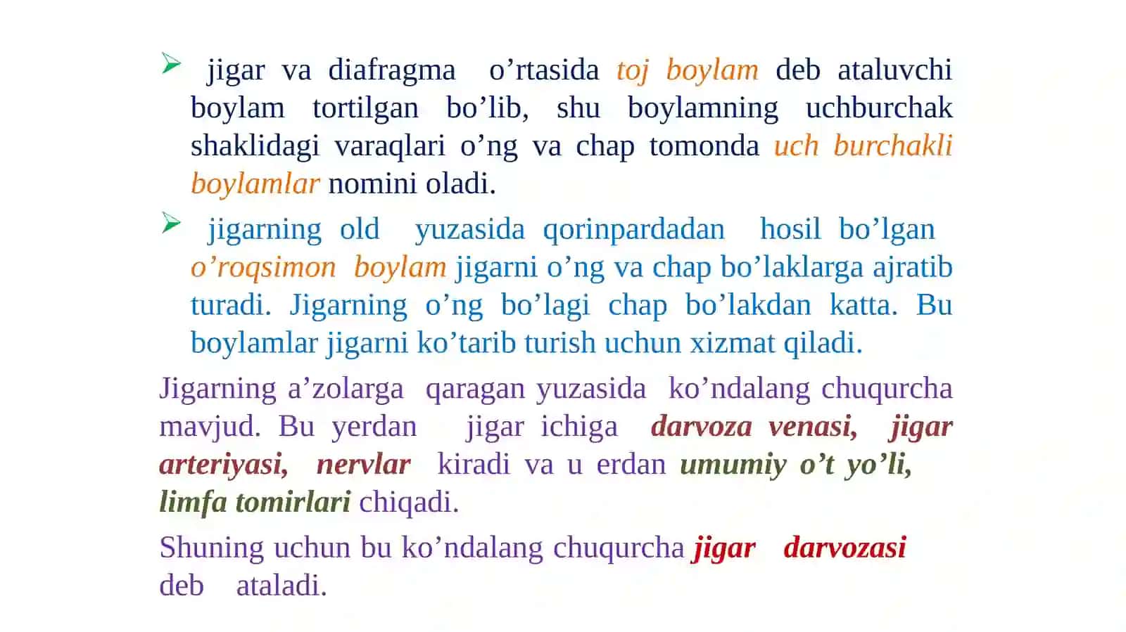 Ovqat hazm qilish tizimi. Jigar anatomiyasi 4