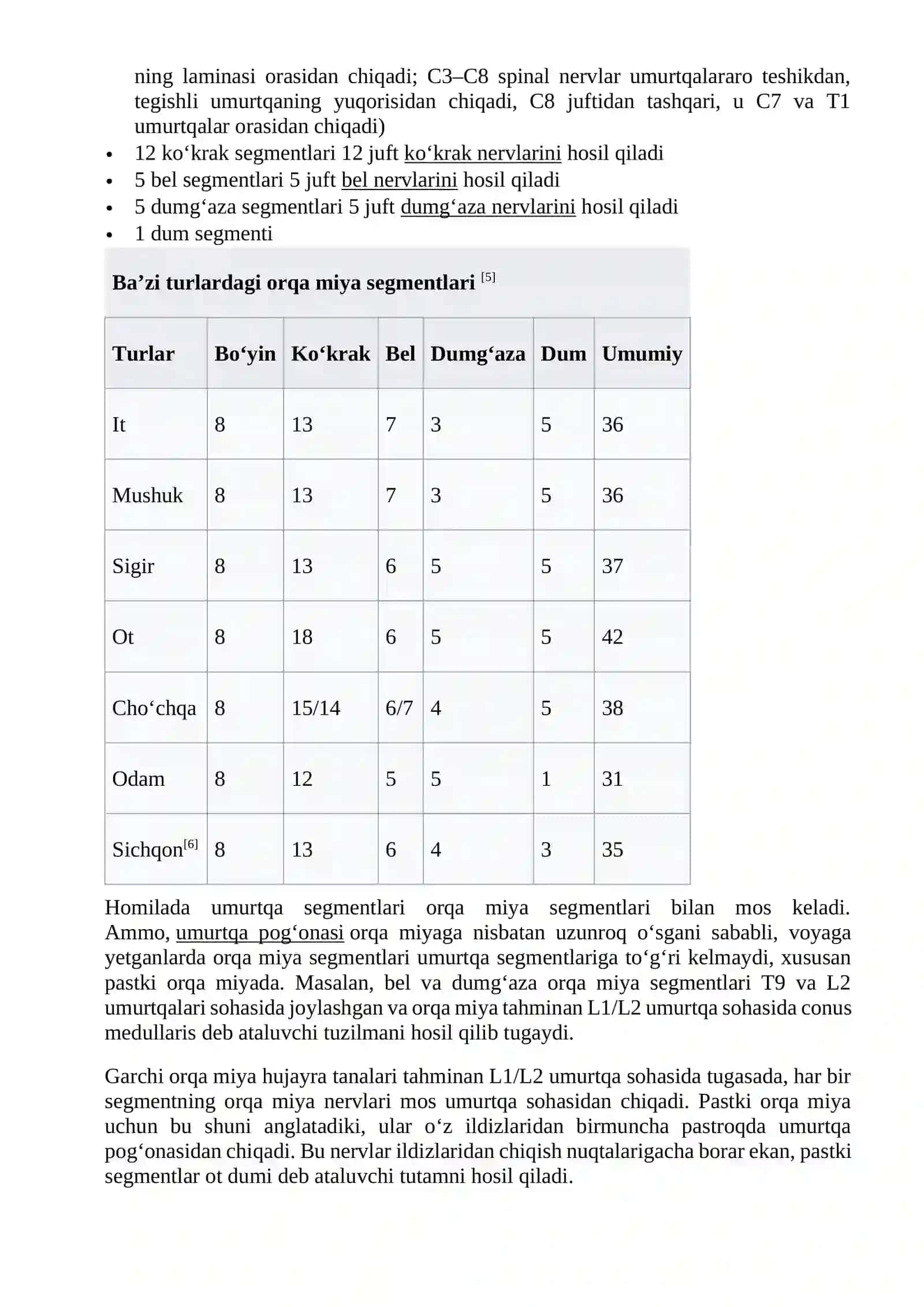 Orqa miyaanatomiyasi, fiziologiyasi 4