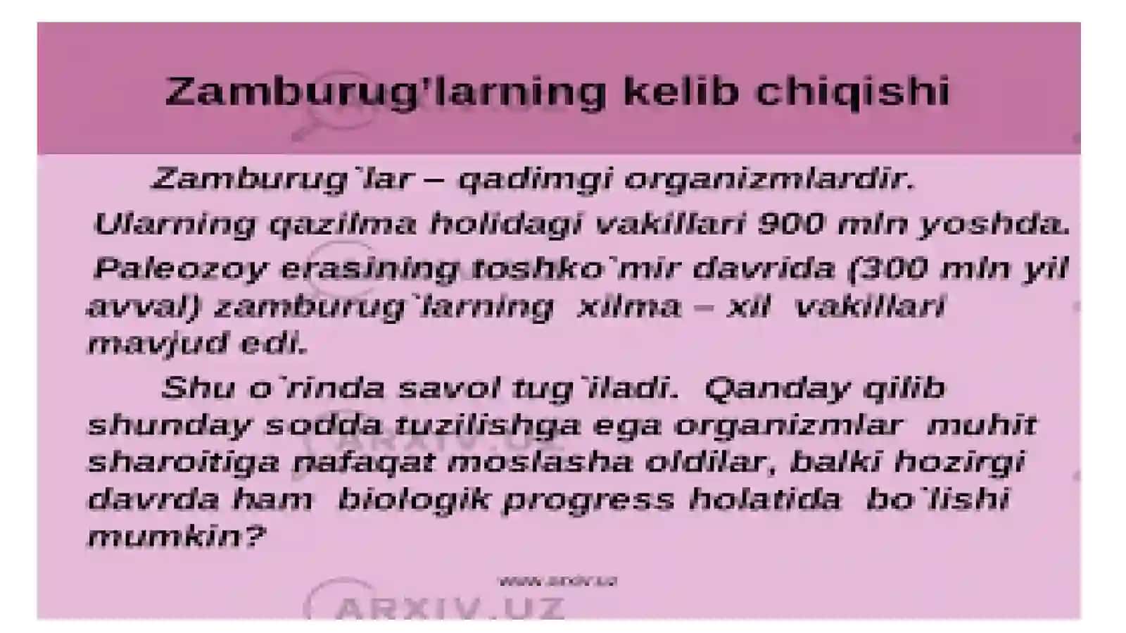zamburug'lar 4