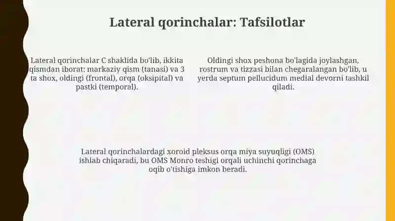 Qorinchalar anatomiyasi va ularning funksiyasional ahamiyati 4