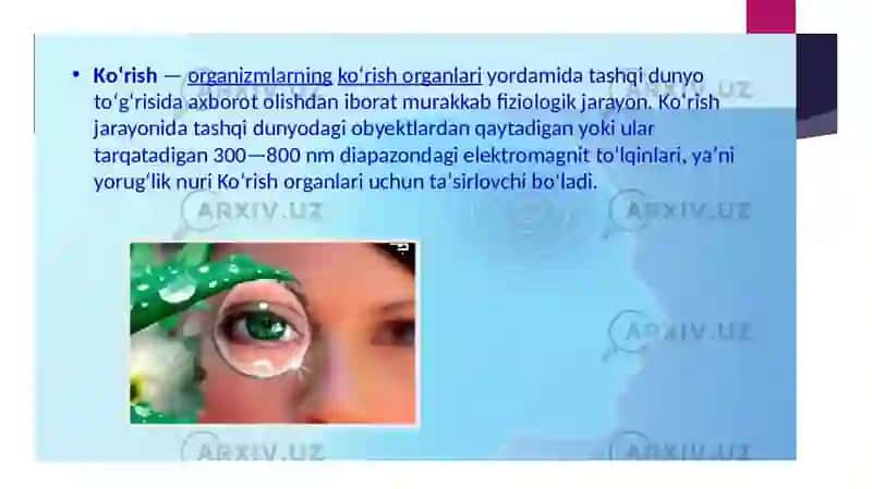 Ko'rish,rang ajratish senorikalarining biofizikaviy asoslari. Ko'z sistemasi kamchiliklari vaularni bartaraf qilish.Yoruqg'likning to'lqin uzunligini difraksion panjara yordamida aniqlash. Yorg'urlikning kvant va to'lqin hossalari. Fotobiologikjarayonlarining fizikaviy asoslari. 4