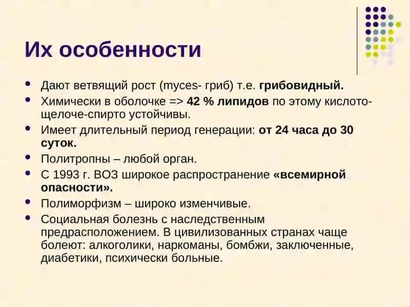 Микобактерии 4