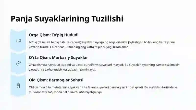 Oyoq Panjasi Suyaklari: Tuzilishi va Ahmiyati 4
