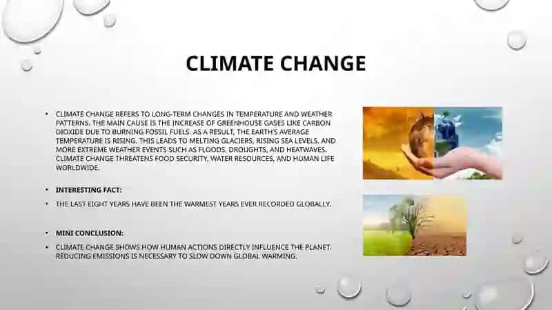 Ecological problems of the world 4