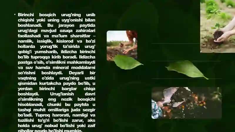 O’simliklarning o’sishi, rivojlanishi, hosili va uning sifatiga ta’sir  qiladigan omillar 4