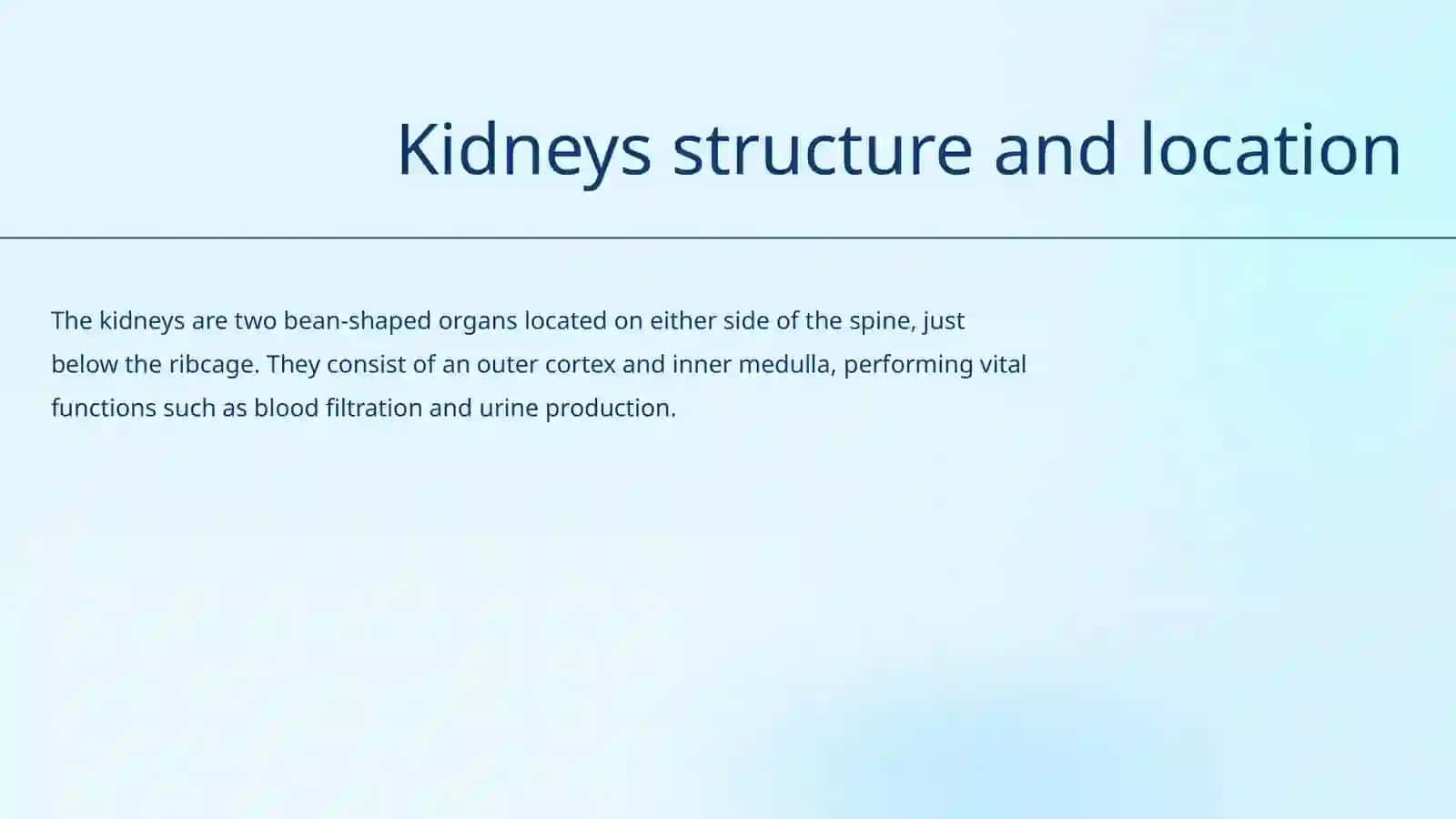 Renal System 4