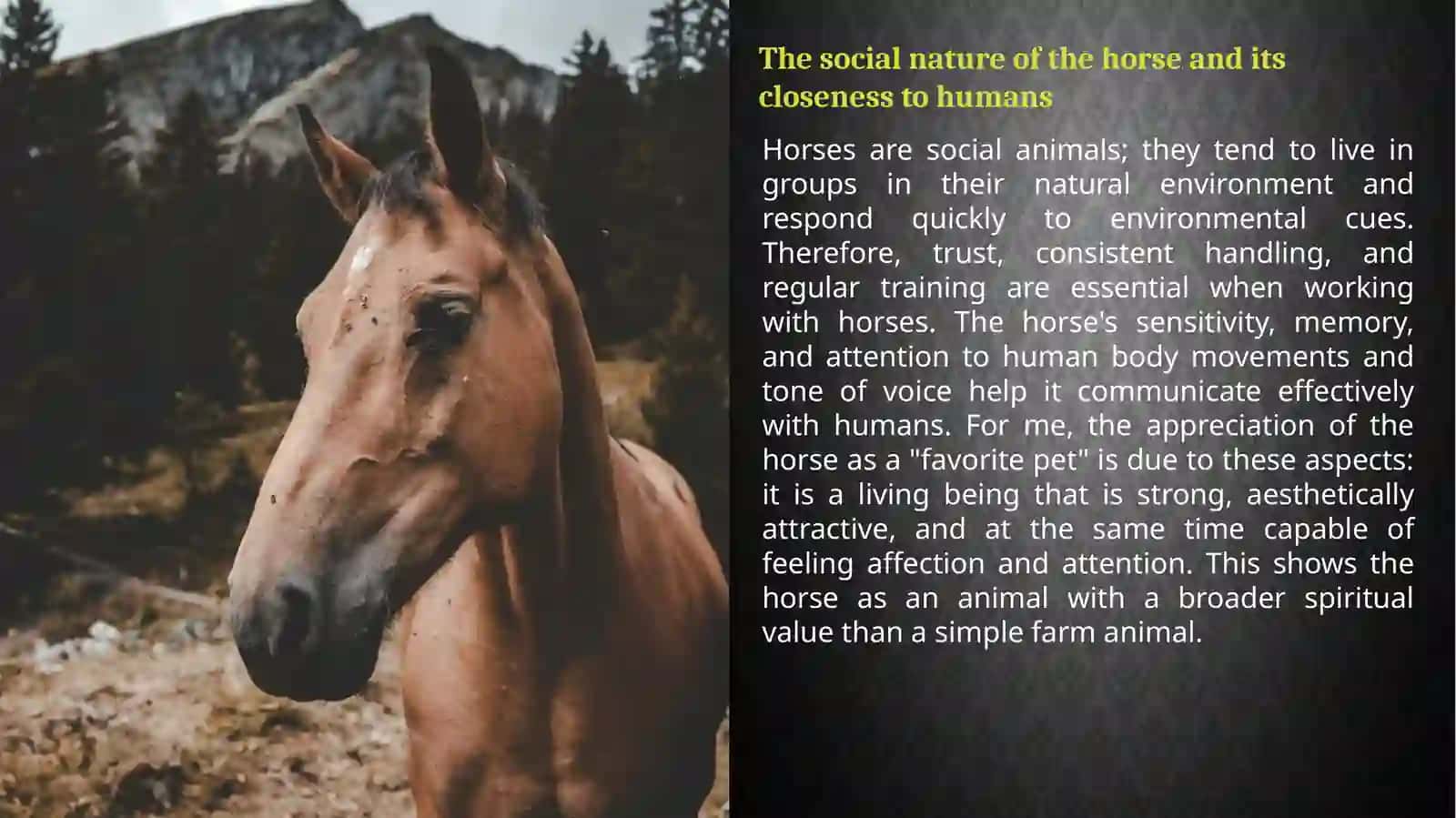 Biological Characteristics of Horses 4