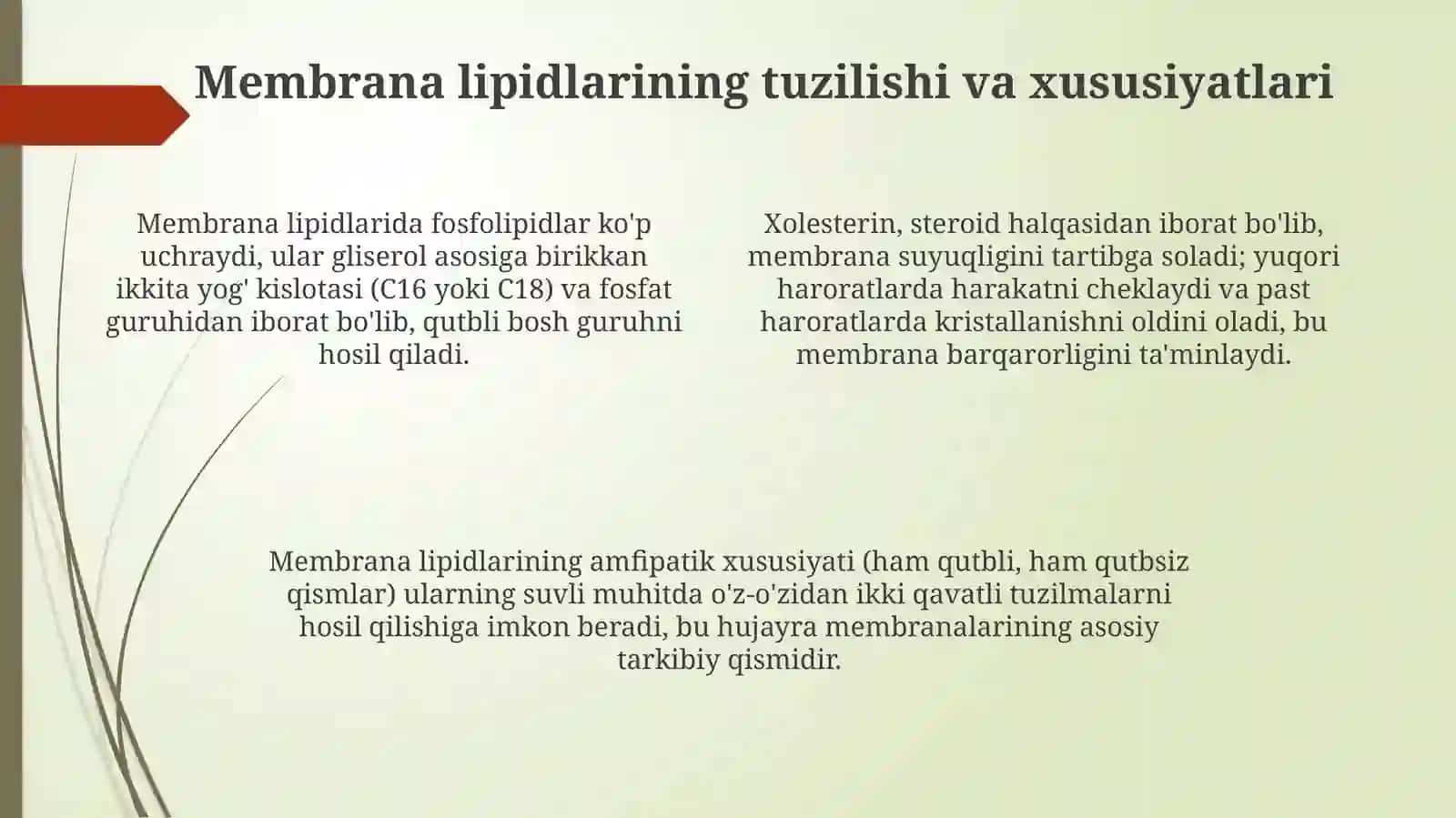 Lipidlar tuzilishi. Membranalar. Taom tarkibidagi triatsilglitseridning hazmi 4