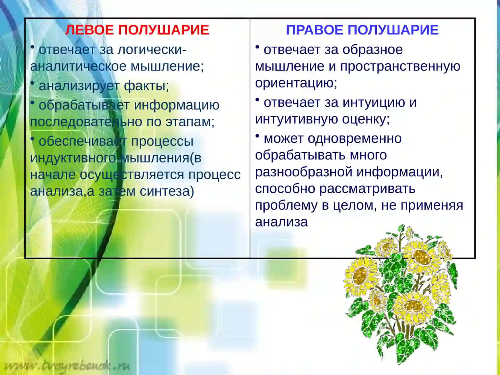КИНЕЗИОЛОГИЯ 4