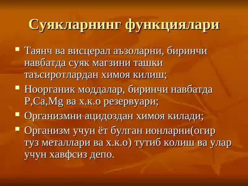 Суяк-мушак тизими 4