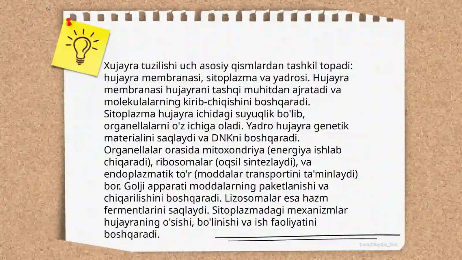 Sitologiya asoslari o'qitish metodikasi 4