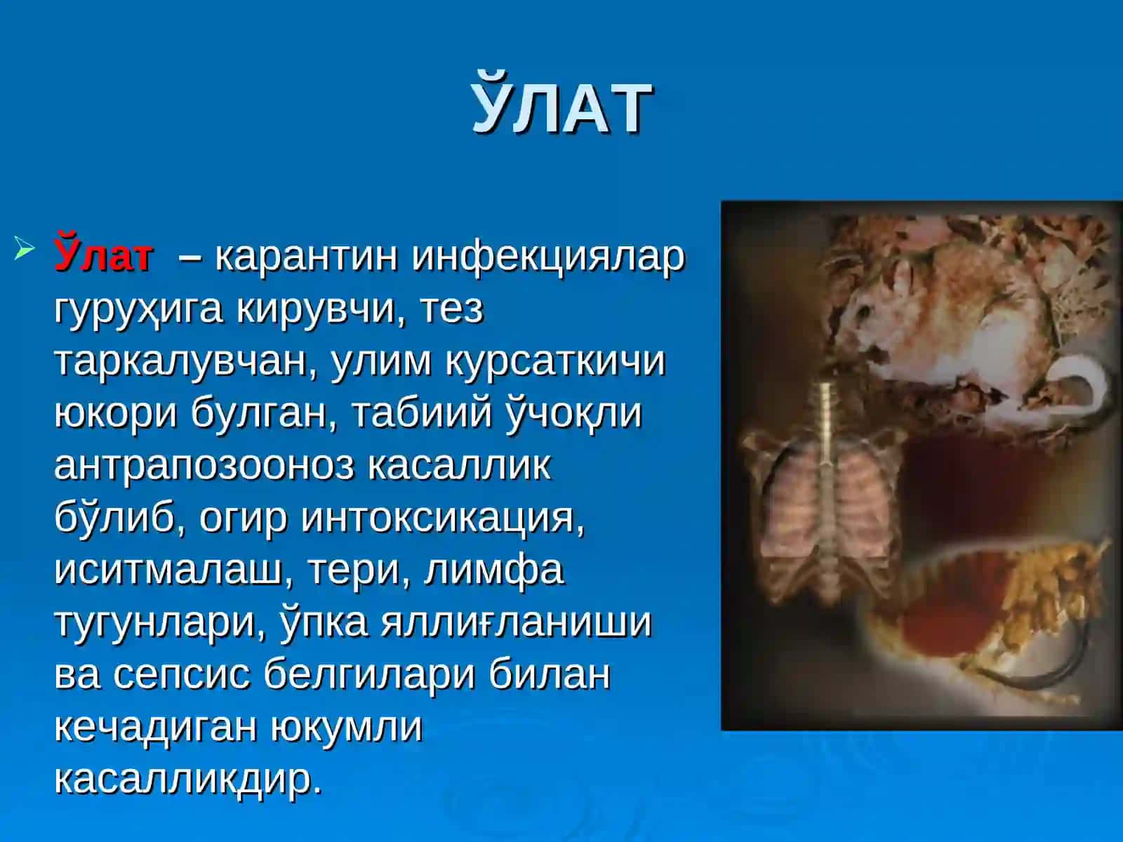 ЎЛАТпрезентация врачлар учун 4