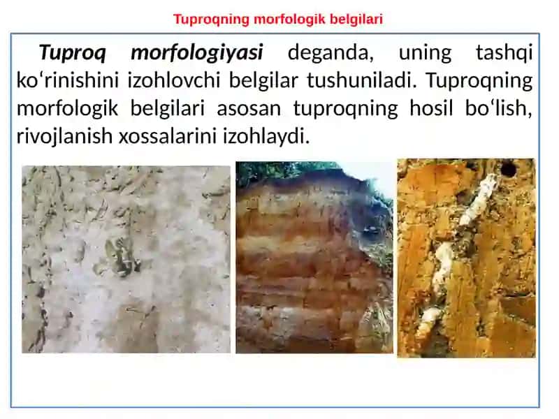 Tuproqning morfologik belgilari va tuzilishi 4