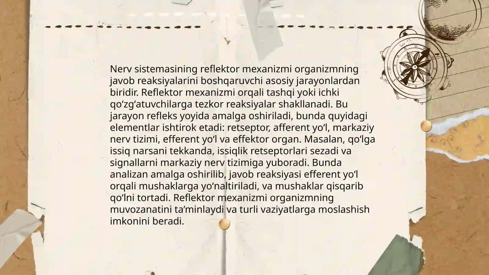 Oliy nerv faoliyati 4