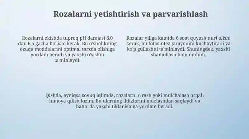 Atirguldan Samarali Foydalanish Va Afzalliklari 4