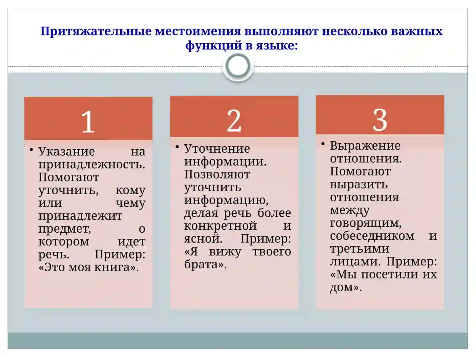 Притяжательные местоимения 4