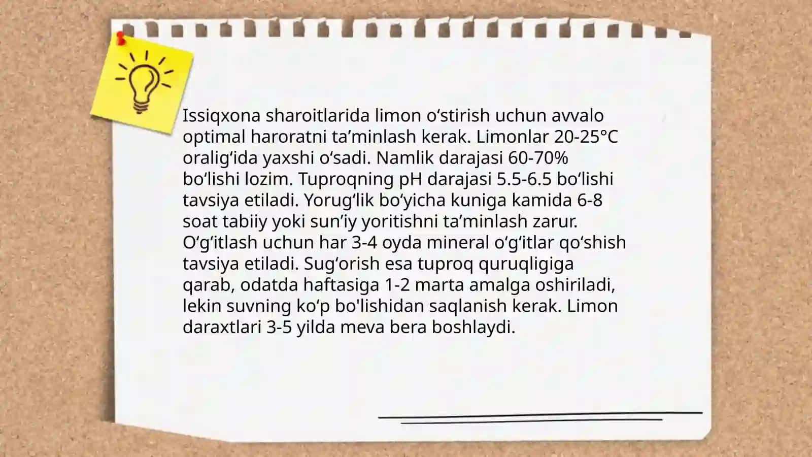 Limon oʻsimligini parvarishlash 4