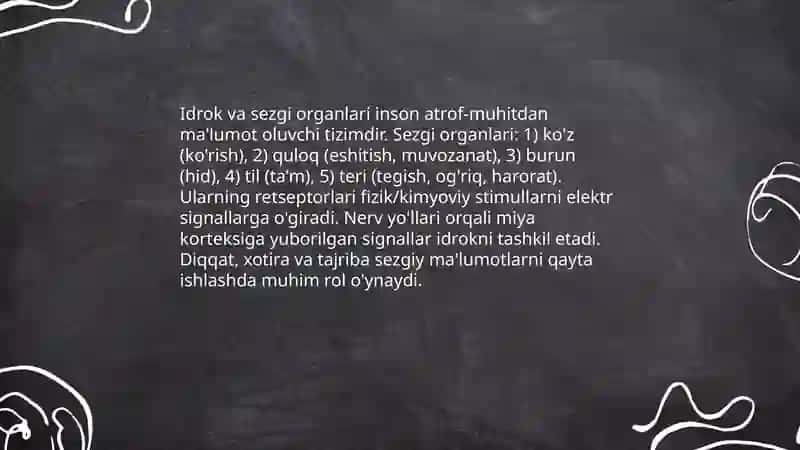 Idrok 4