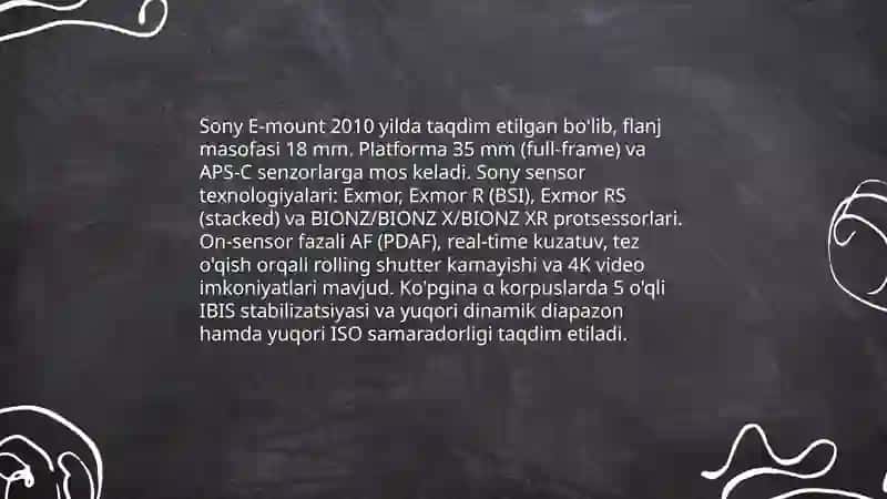 Yapon kamera turlari 4